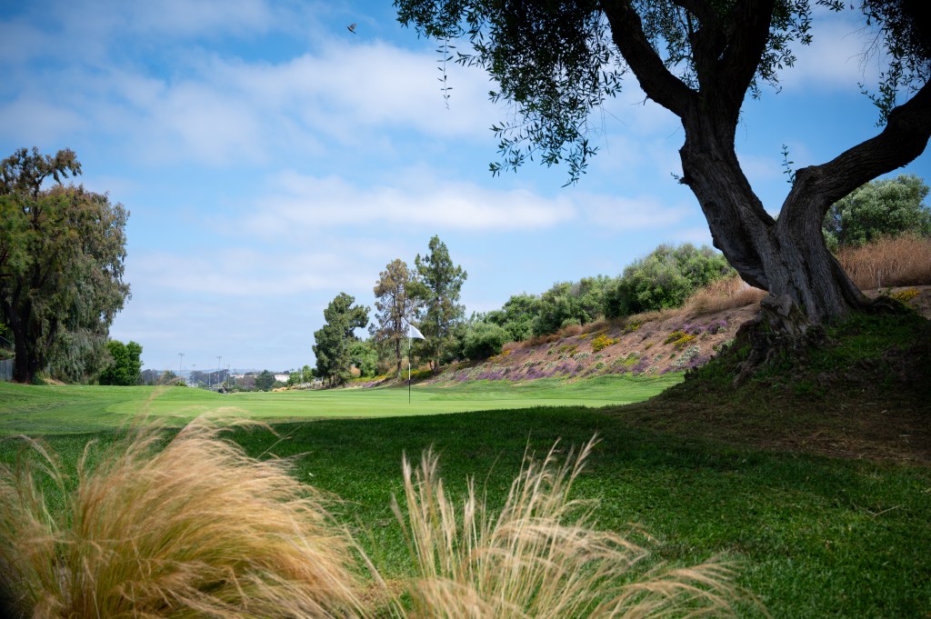 Course Overview Shorecliffs Golf Club Course Overview Shorecliffs Golf Club